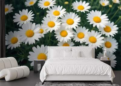 Daisies flower closeup Realistic Light with summer season flower concept Wall mural