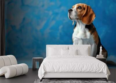 Beagle dog sitting in a blue environment Wall mural