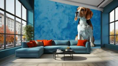 Beagle dog sitting in a blue environment Wall mural