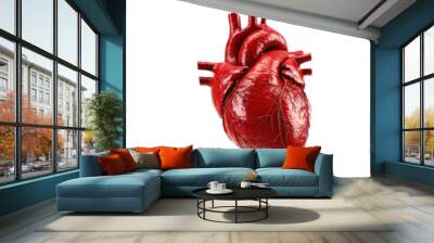 Set of Real human heart isolated on white background Wall mural