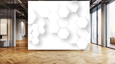 Abstract 3d background with hexagons pattern with hexagonal white and gray technology line paper background. Hexagonal vector grid tile and mosaic structure mess cell. white and gray hexagon. Wall mural