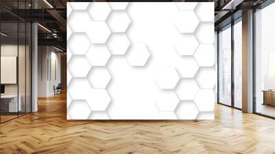 Abstract modern Background with white lines 3d Hexagonal structure futuristic white background and Embossed Hexagon , honeycomb white Background ,light and shadow ,Vector. Wall mural