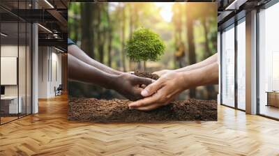 Two hands holding small green tree plant planted in forest nature soil, diversity, black and white skin, Caucasian and African American man, environment ecology community, friendship growth Wall mural