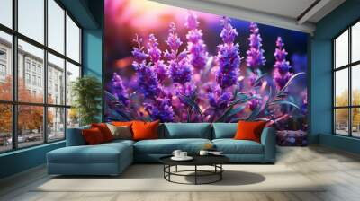 Excellent Hyacinth flowers bouquet on violet background. top view, copy space Wall mural