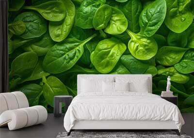 Fresh green baby spinach leaves, natural background. Generative ai Wall mural