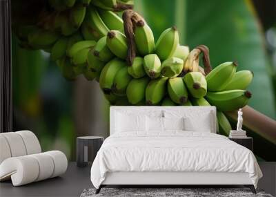 Fresh green bananas fruit growing on tropical farm. Generative Ai Wall mural