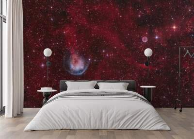 The two planetary nebulae Heckathorn-Fesen-Gull 1 & Abell 6 in the constellation Camelopardalis Wall mural