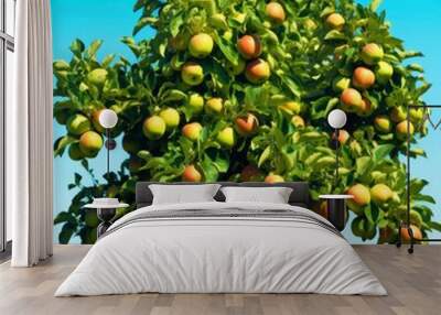 A beautiful green apple tree. Wall mural