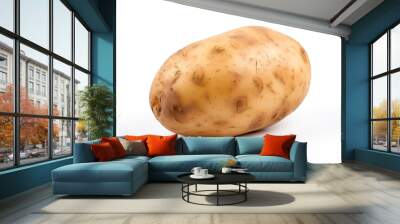 Potato isolated on white background. Wall mural