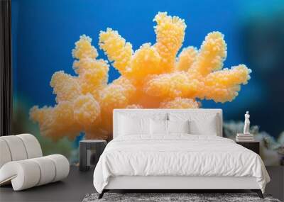 A large orange coral with many small branches. The coral is surrounded by other sea life. The coral is in a blue ocean Wall mural