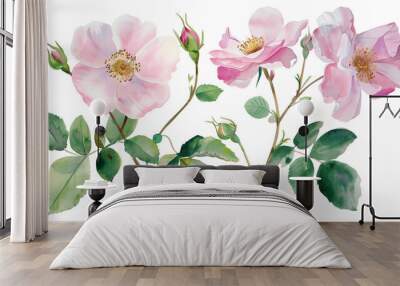 Beautiful floral set with watercolor hand drawn summer wild field rose flowers, isolated on transparent background. Wall mural