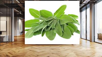 Fresh Green Sage Leaves in Fan Shape Wall mural