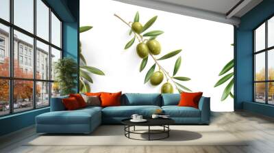 fresh olive twig with several green olives on it, typical for mediterranean countries like Italy or Greece, isolated, flat lay Wall mural