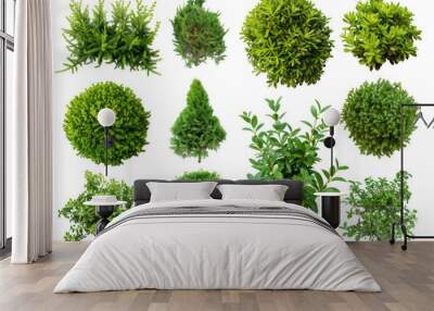 Green Shrubs and Hedges Wall mural