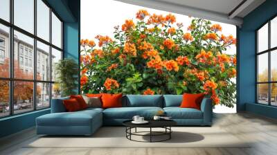 Lush Bush of Vibrant Orange Flowers Wall mural