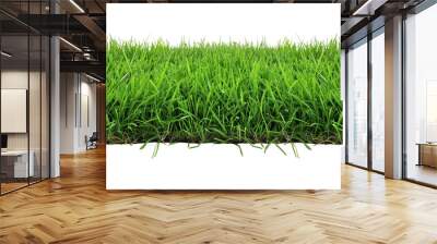 Lush green turf grass, perfectly manicured for a classic suburban lawn, showing uniformity and vibrant color, isolated on transparent background Wall mural