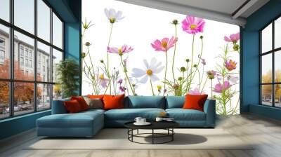 Meadow of wildflowers including cosmos and wild daisies, showcasing nature’s untamed beauty, isolated on transparent background Wall mural