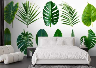 Natural of Beautiful Tropical green leaves of leaf isolated on transparent background. Wall mural