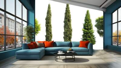 set of cypress trees, known for their longevity and elegant, conical shapes, isolated on transparent background Wall mural