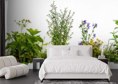 set of herb gardens featuring flowers, where culinary herbs are intermingled with edible blooms, iso Wall mural