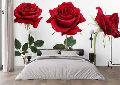 set of red rose flowers, isolated on transparent background Wall mural