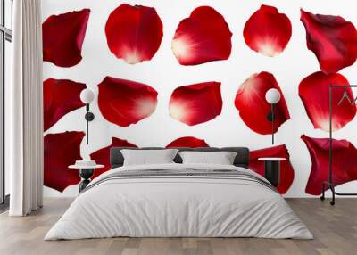 Set of red rose flowers petals isolated on transparent background. Wall mural