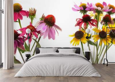 summer season flowers bouquet made with  Black-eyed Coneflowers isolated on transparent background Wall mural