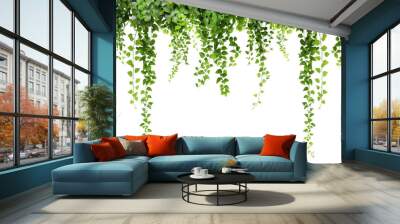 Tropical creeper border hanging, isolated on transparent background Wall mural