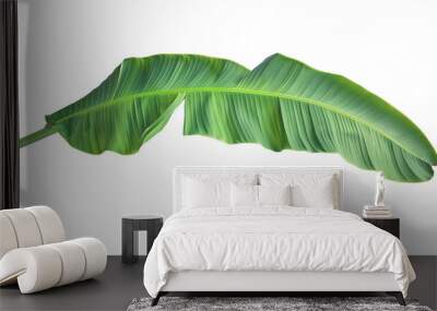 Tropical green banana tree leaf, isolated on transparent background. Wall mural