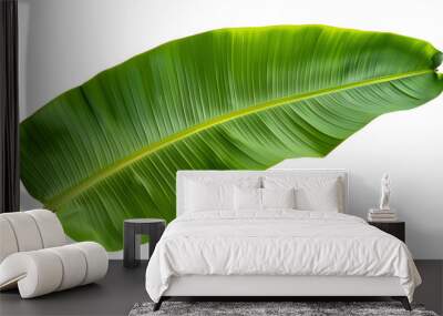 Tropical green banana tree leaf, isolated on transparent background. Wall mural