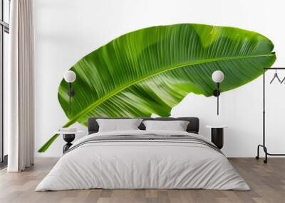 Tropical green banana tree leaf, isolated on transparent background. Wall mural