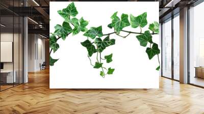 Twisted Vine with Ivy Leaves Wall mural