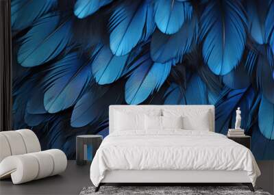 Extraordinary Close up of blue feather texture with intricate details Wall mural