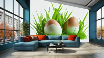 Nice Eggs in green grass on white Wall mural