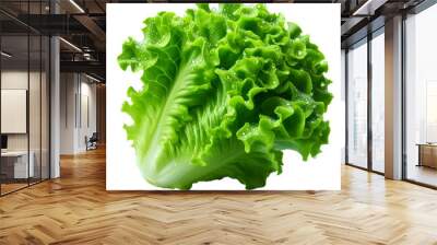 fresh lettuce isolated on white Wall mural