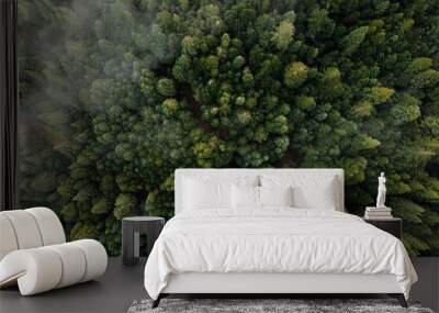 Aerial view of fog over dark pine forest trees. Wall mural