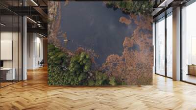 Top down view of lake and pine trees Wall mural