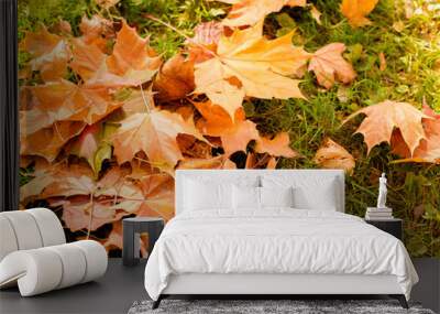 Beautiful nature background. Fallen autumn leaves on grass Wall mural