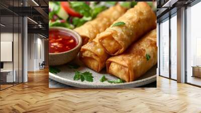 Delicious Chinese fried spring roll on a plate with a red dipping sauce and salad. food photography Wall mural