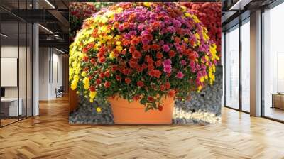 Fall Mum Tricolor Wall mural