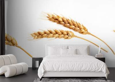 An ear of wheat isolated on transparent background Wall mural