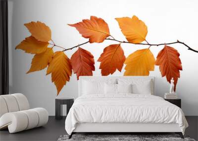 Autumn fall leaves on a branch isolated on transparent or white background, png Wall mural