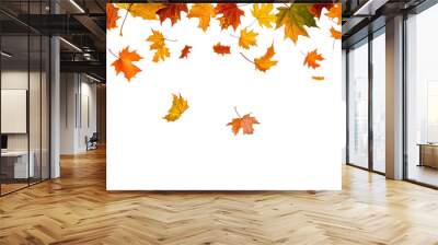 Autumn leaves falling isolated on transparent or white background Wall mural