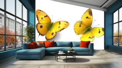 Collection set of yellow butterflies isolated on transparent or white background, png Wall mural