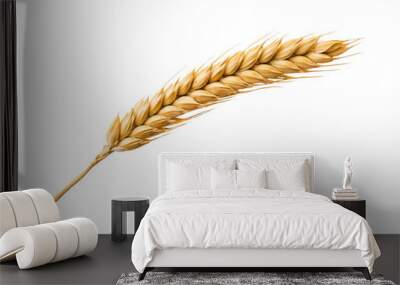 Ear of wheat spikelet isolated on transparent or white background, png Wall mural