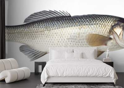 Fresh sea bass fish isolated on transparent or white background, png Wall mural