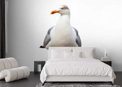 Seagull isolated on transparent or white background, png Wall mural