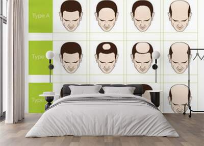 Information chart of hair loss stages and types of baldness illustrated on a male head. Wall mural