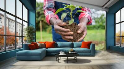 close-up of a farmer's hands with a pepper plant about to be planted Wall mural