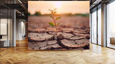 Cracked scorched earth soil drought desert landscape with small plant Wall mural